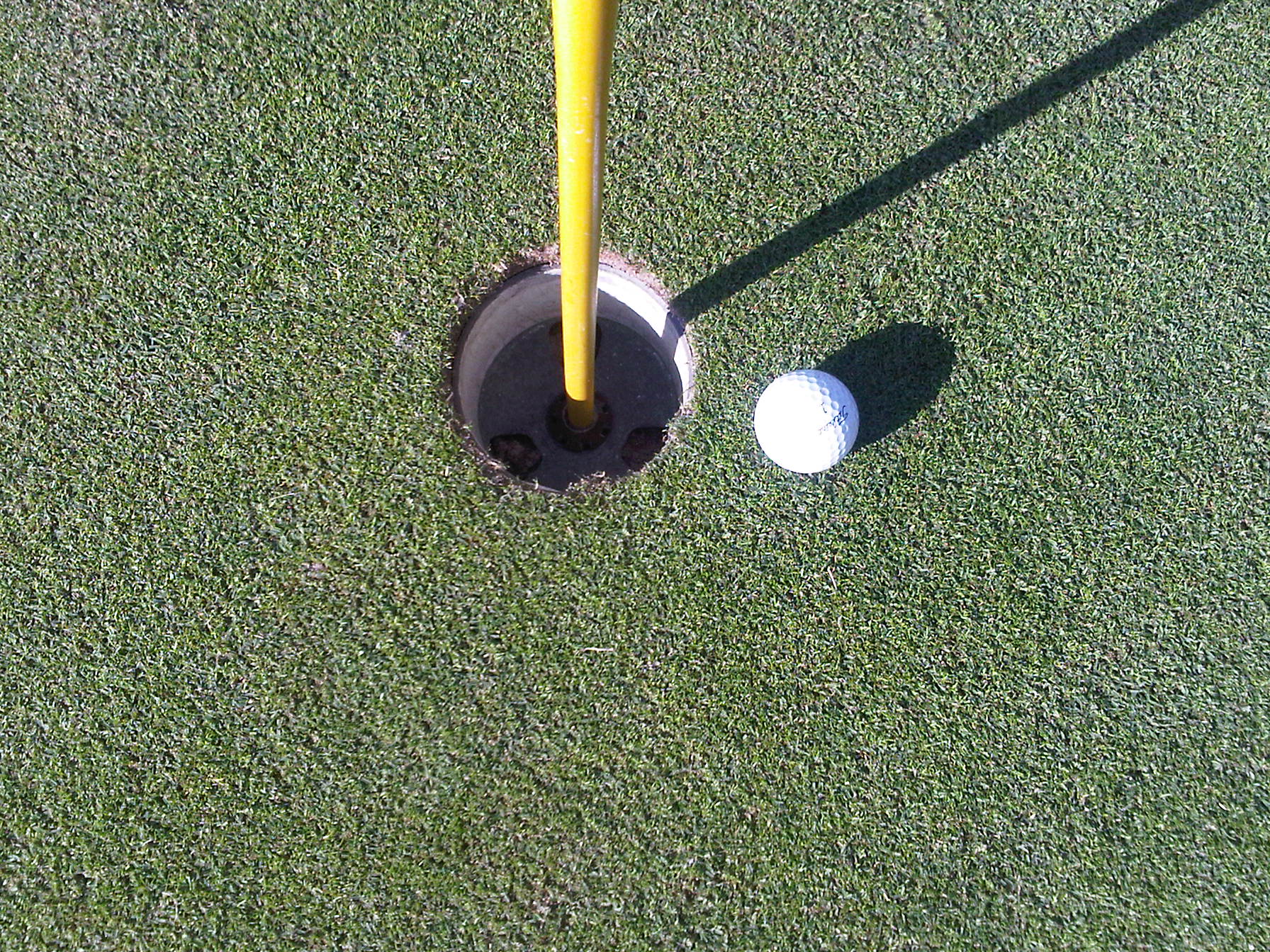 CC VIII — Shaw's near hole-in-one